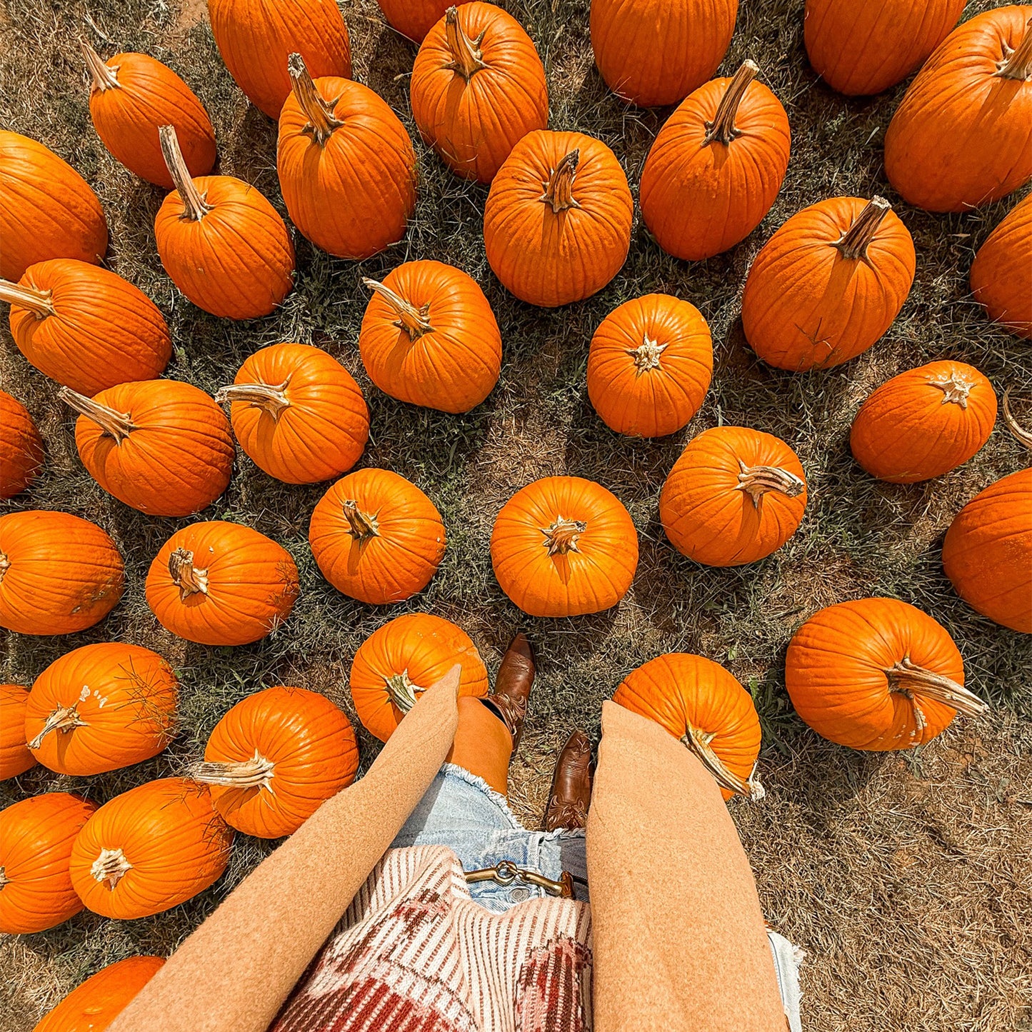 Brown Snip-Toe Classic Embroidery Wide Calf Knee High Cowgirl Boots For Women