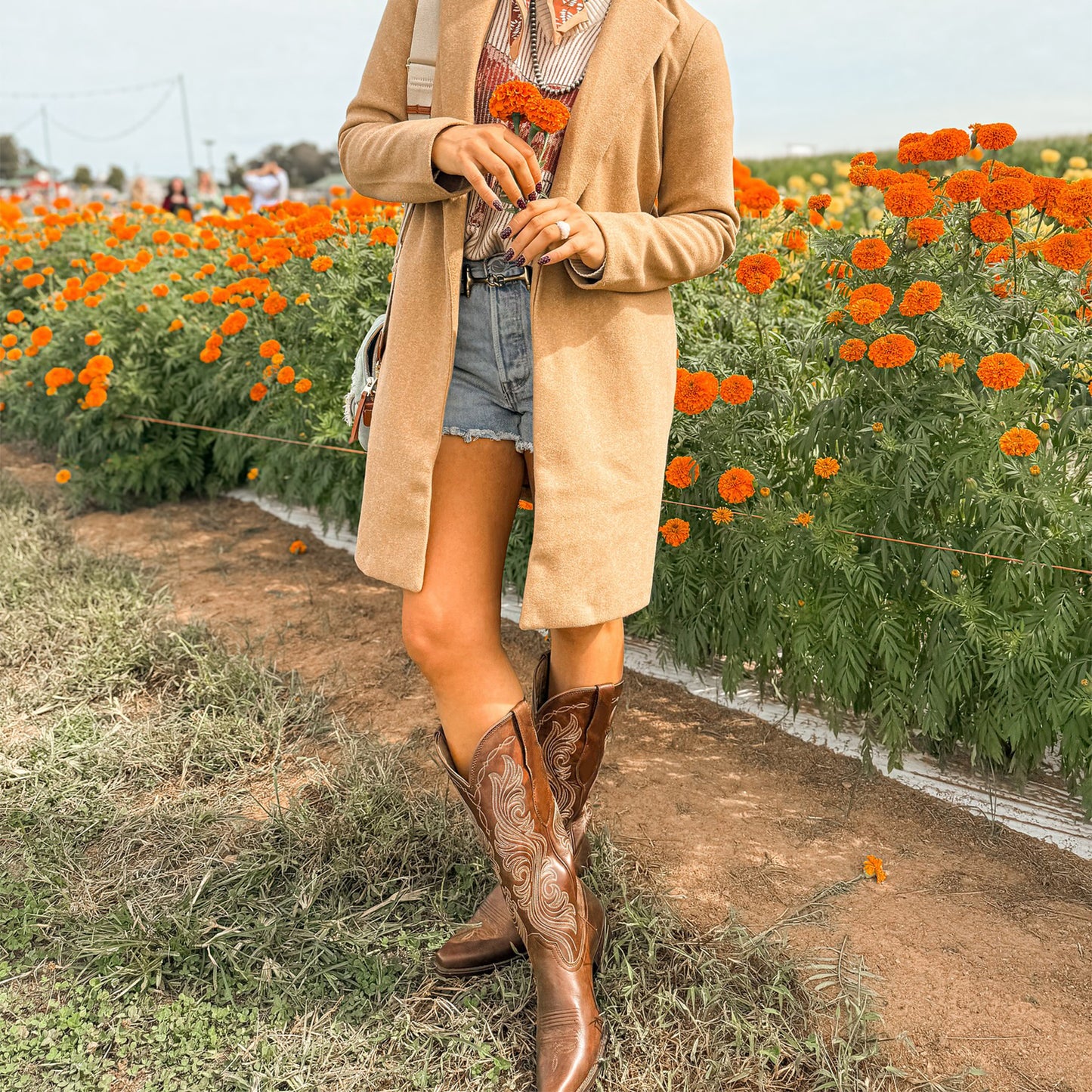 Brown Snip-Toe Classic Embroidery Wide Calf Knee High Cowgirl Boots For Women