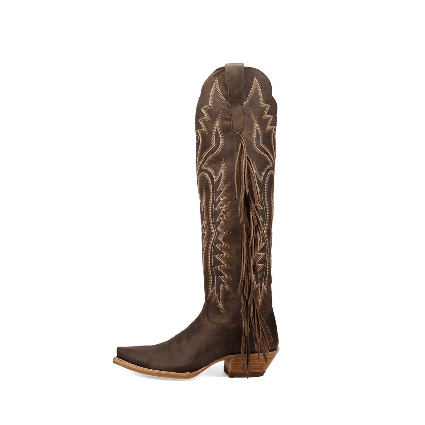 Brown Snip-Toe Side Fringe And Embroidery Full-Zip Knee High Cowgirl Boots