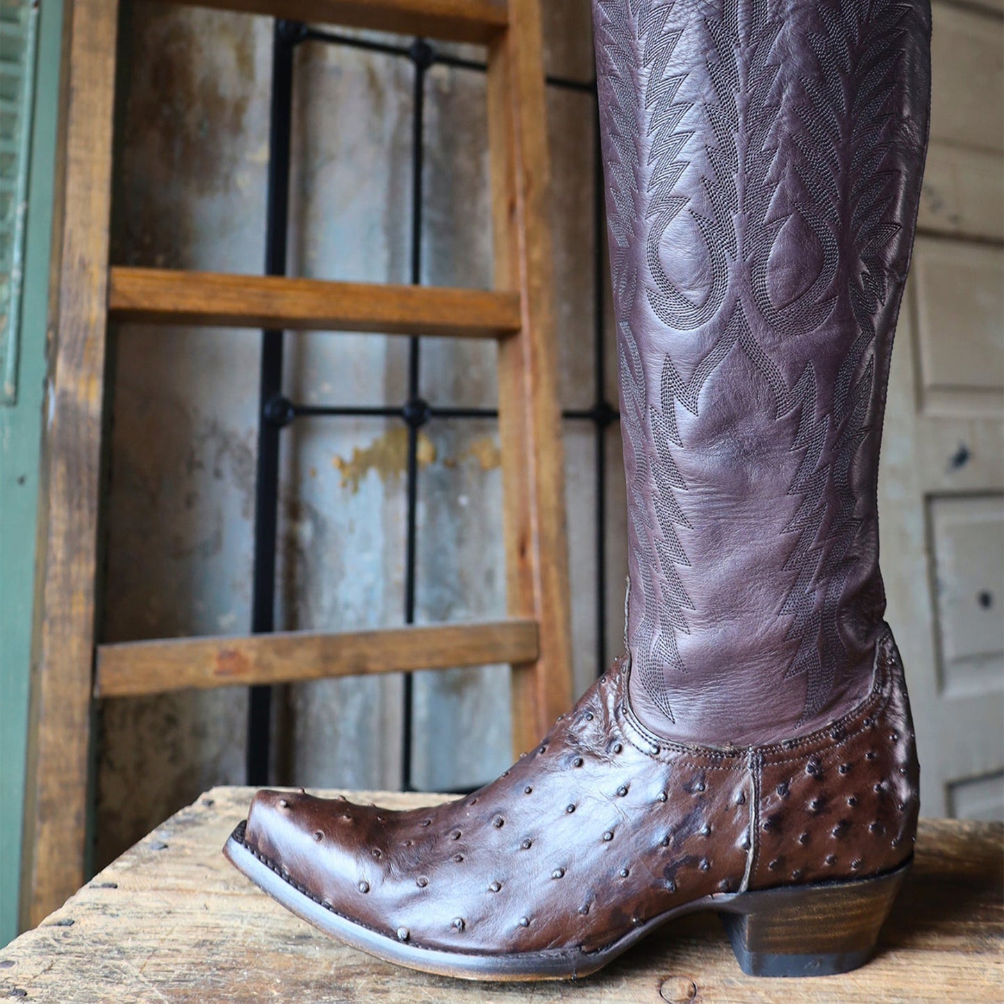 Chocolate Contrast Vegan Leather And Ostrich Print Snip-Toe Embroidery Half-Zip Knee High Cowgirl Boots